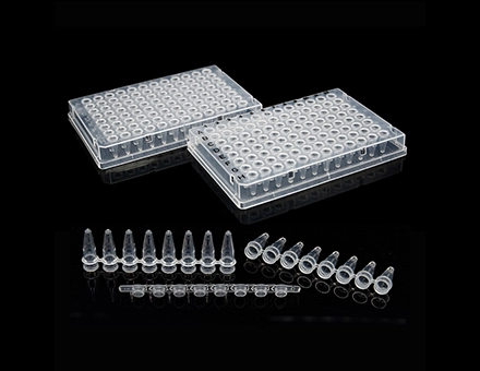 PCR-Platten und Rohre